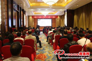 2016中國(guó)合肥國(guó)際食用菌新產(chǎn)品新技術(shù)博覽會(huì)暨市場(chǎng)流通峰會(huì)