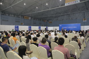 2016成都建博會 現場亮點紛呈，6月將上演重頭戲